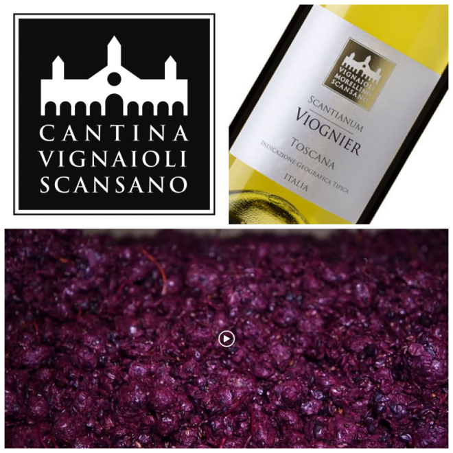 Review Cantina Cooperativa Vignuolo image 115404