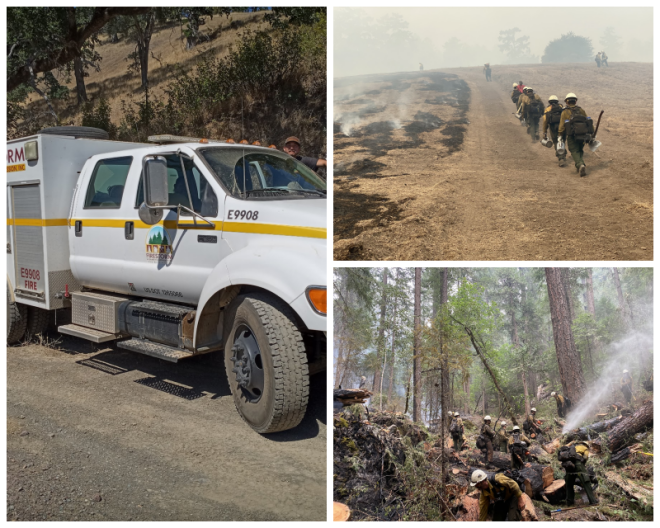 Review Firestorm Wildland Fire Suppression, Inc. image 173976