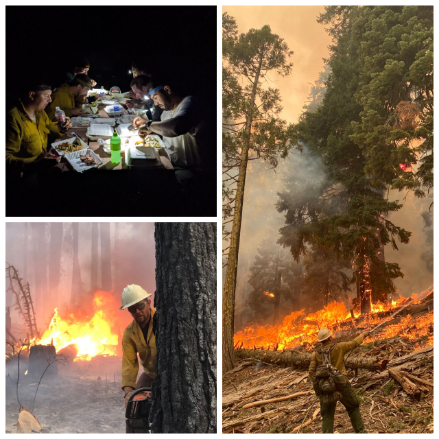 Review Firestorm Wildland Fire Suppression, Inc. image 173977