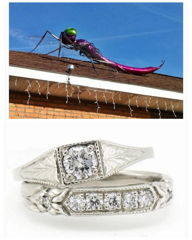 Review The Jewelbox & Micky Roof Designer/Goldsmith image 39860