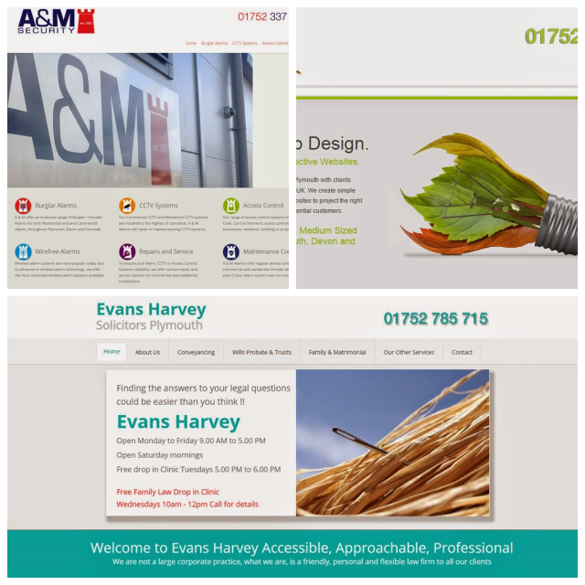 Review New Leaf Website Development image 183948