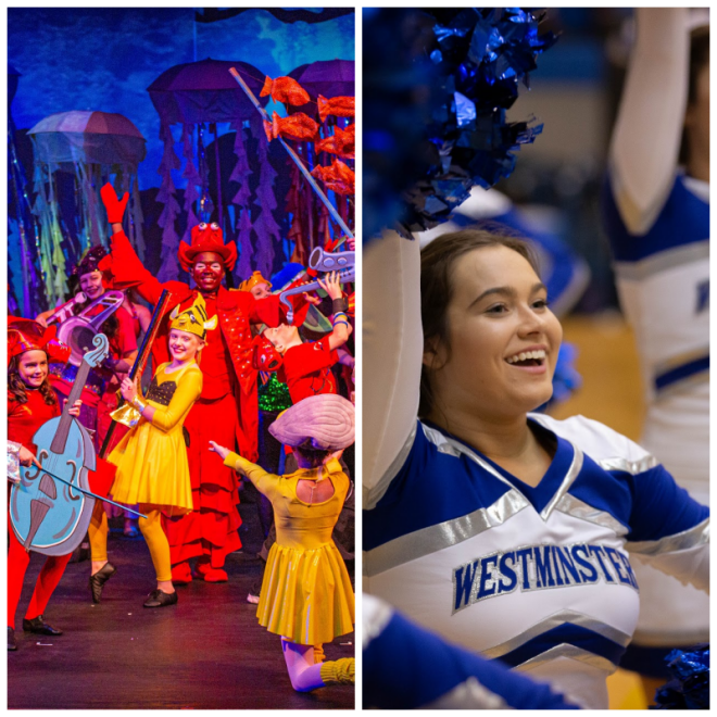 Review Westminster Christian Academy (St. Louis) image 164131