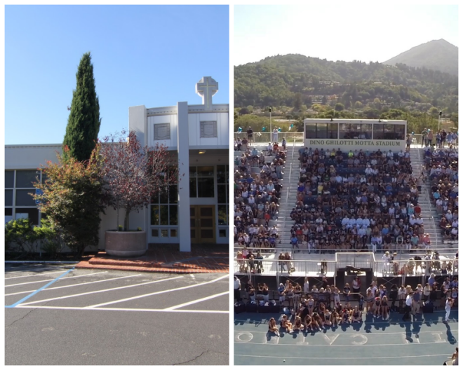 Review Marin catholic high school image 255253