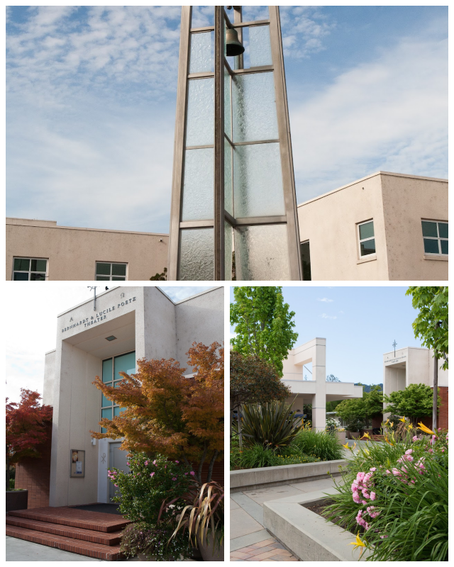 Review Marin catholic high school image 255256