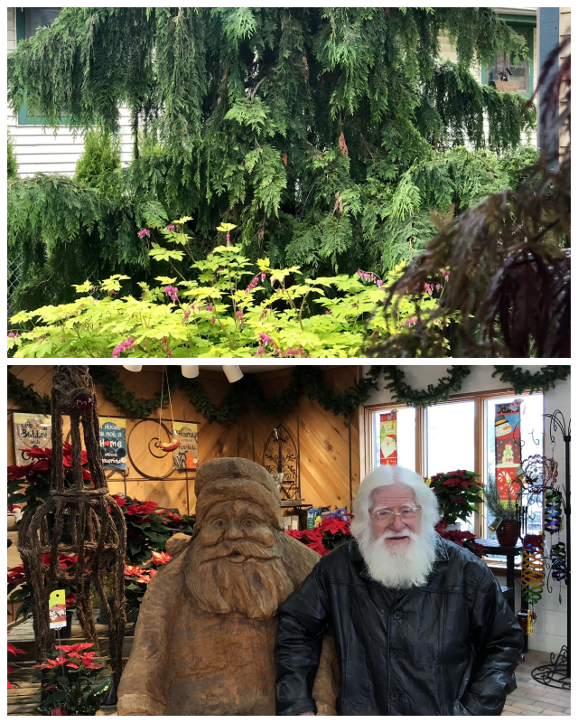 Review Prospect Hill Garden Center image 89979