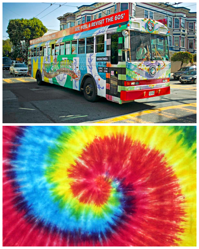Review Magic Bus San Francisco image 34868