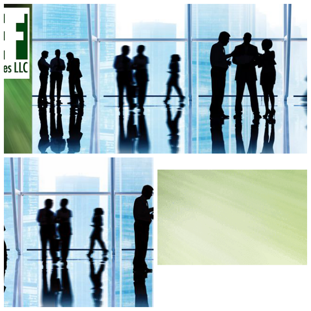Review PEF Services LLC image 177131