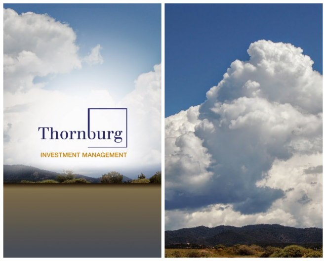 Review Thornburg investment management image 244270
