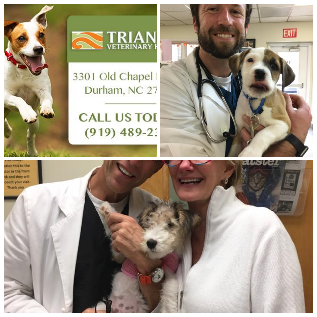 Review Triangle Veterinary Emergency Clinic image 21020