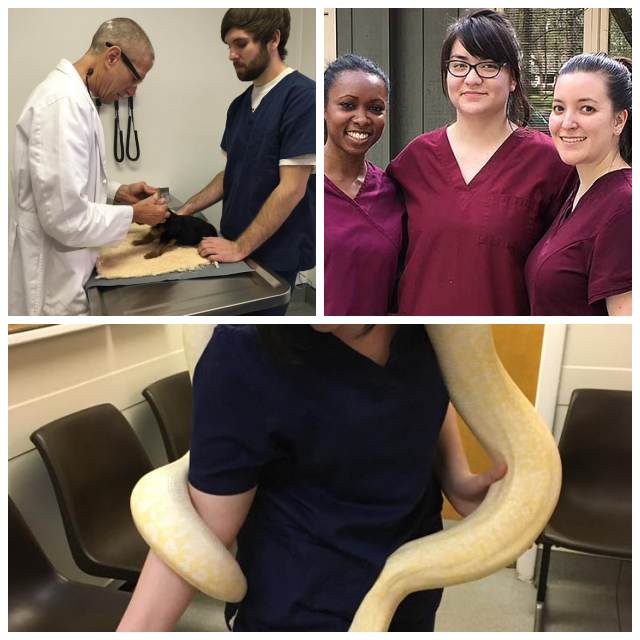 Review Triangle Veterinary Emergency Clinic image 21022