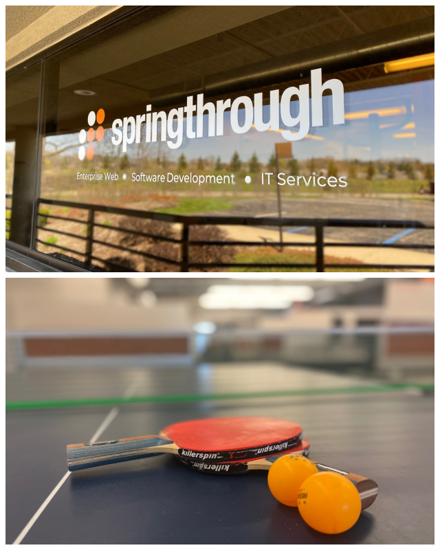 Review Springthrough image 110017