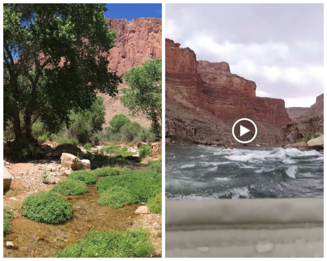 Review Arizona Raft Adventures image 11919