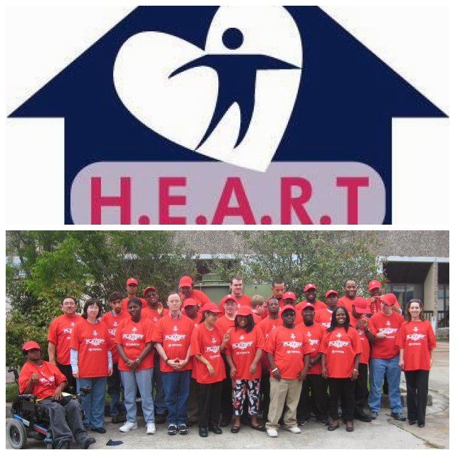 Review The heart program image 295821