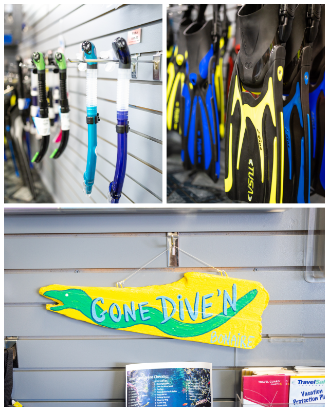 Review Rick's dive 'n travel image 345798