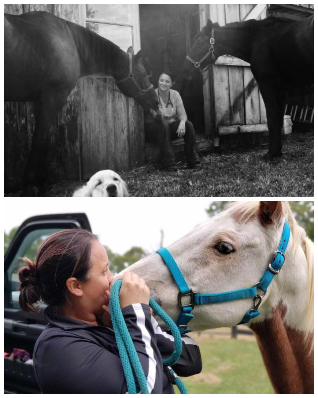 Review Dover equine veterinary image 275857