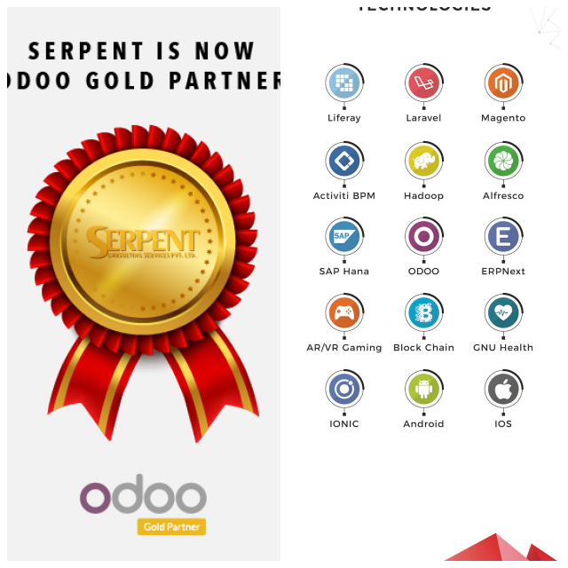 Review Serpent Consulting Services Pvt. Ltd. image 85994