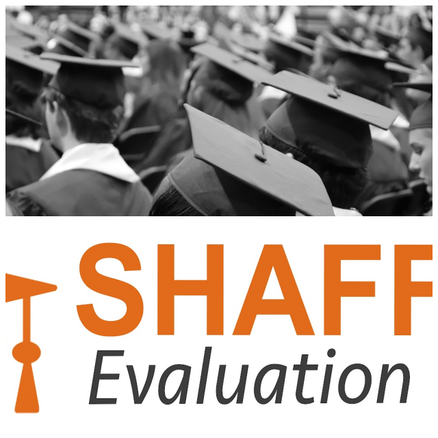 Review Shaffer evaluation group image 353212