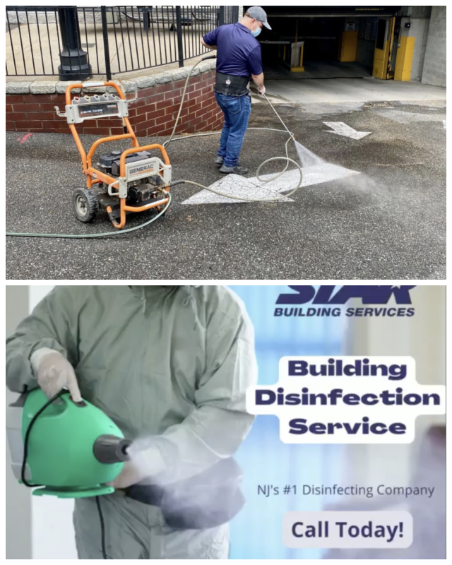 Review Star Building Services image 236261
