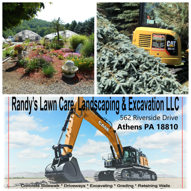 Review Randys greenhouse image 342969