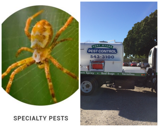 Review Fort myers pest control inc image 285770