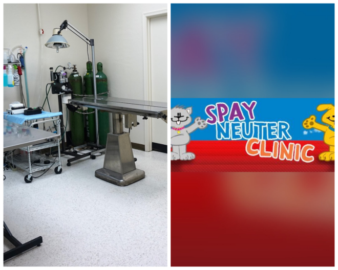 Review Spay Neuter Clinic Mesa image 171960