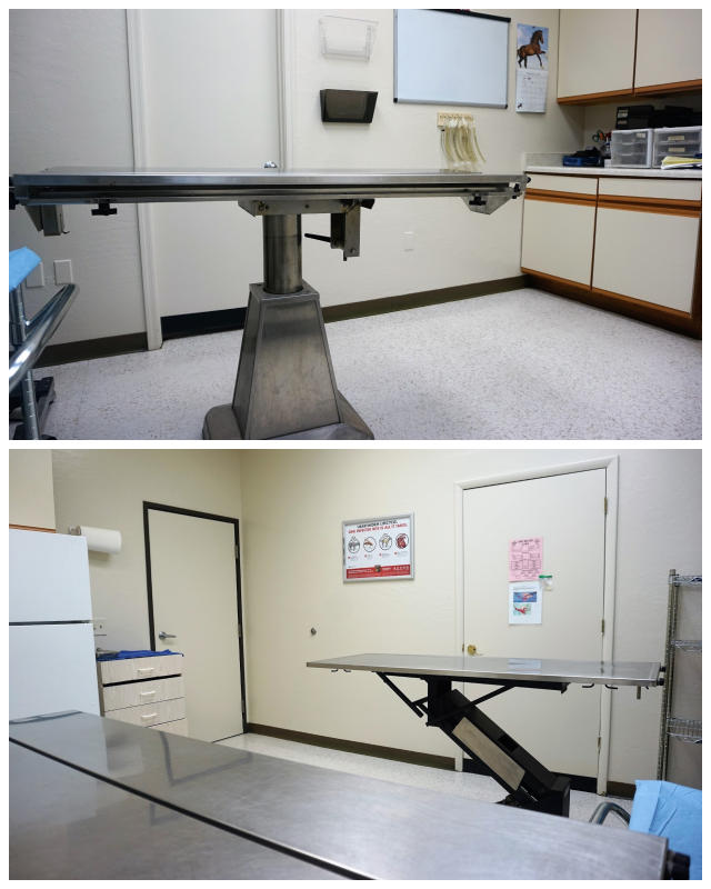 Review Spay Neuter Clinic Mesa image 171961
