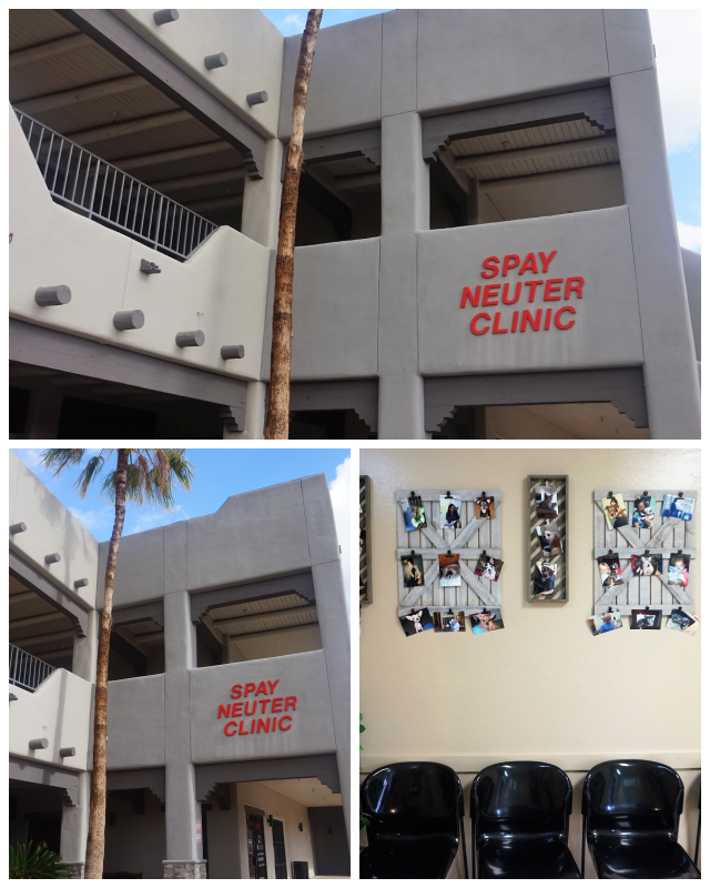Review Spay Neuter Clinic Mesa image 171962