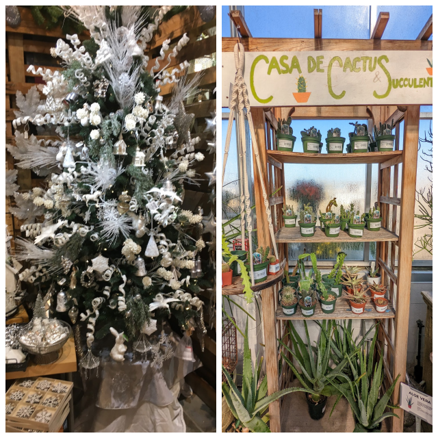 Review Seguin Gardens & Gifts image 108247