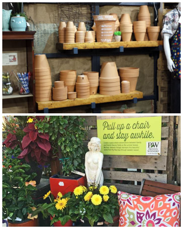 Review Seguin Gardens & Gifts image 108250