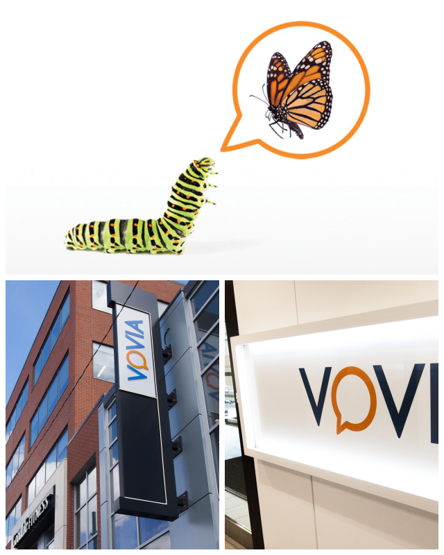Review Vovia image 137227