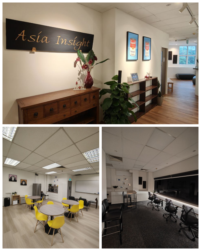 Review Consulting Group - Asia Insight Pte. Ltd. image 126161