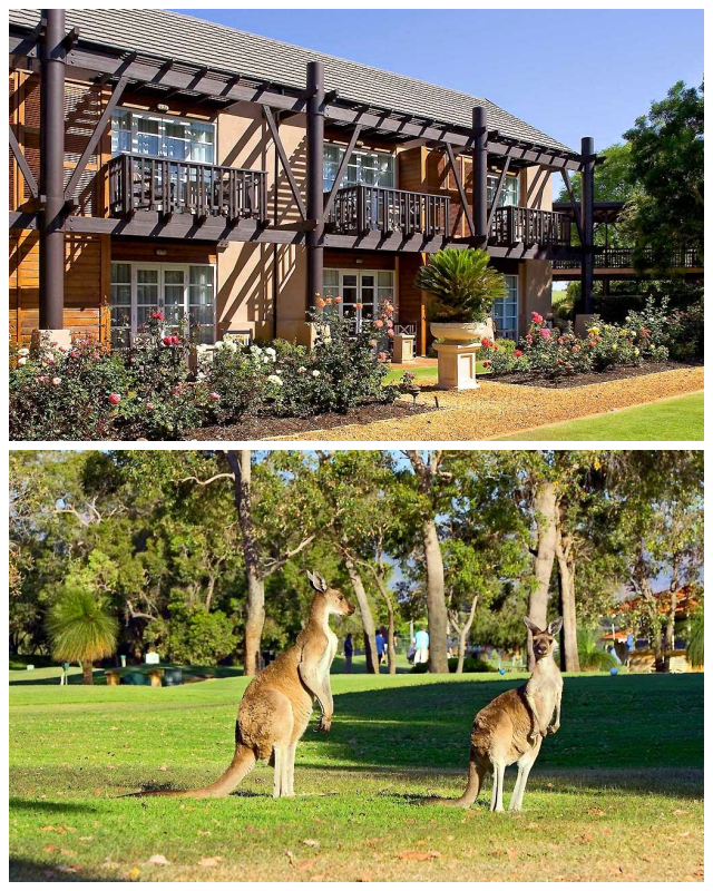 Review Novotel Vines Resort image 102655