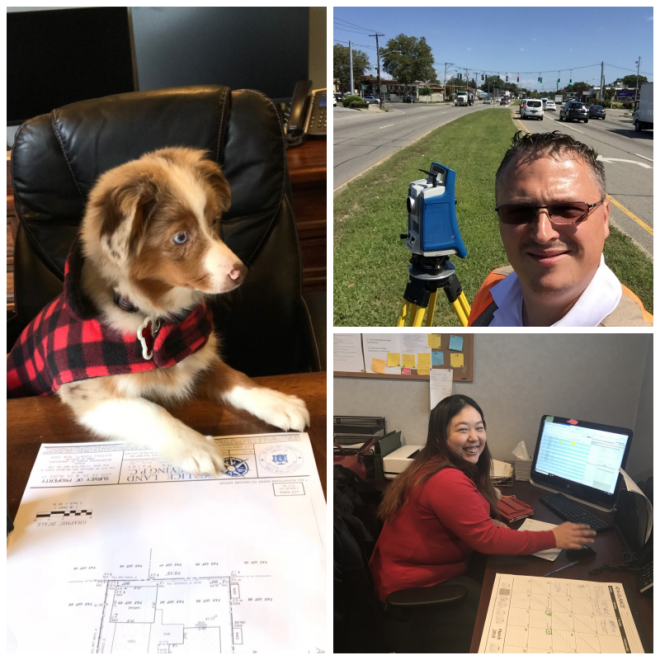 Review Scalice land surveying pc image 322369