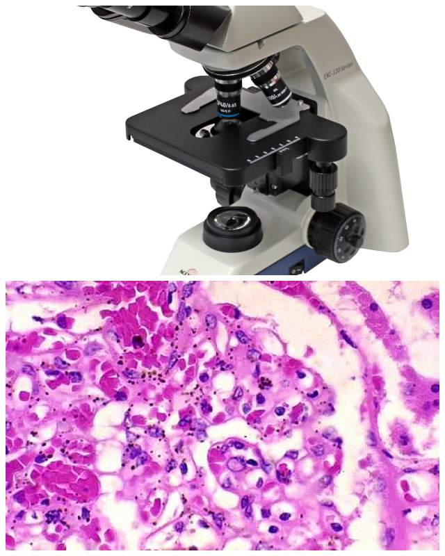 Review Microscope Solutions, Inc. image 64981