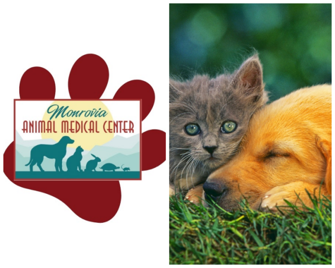 Review Monrovia Animal Medical Center image 80993