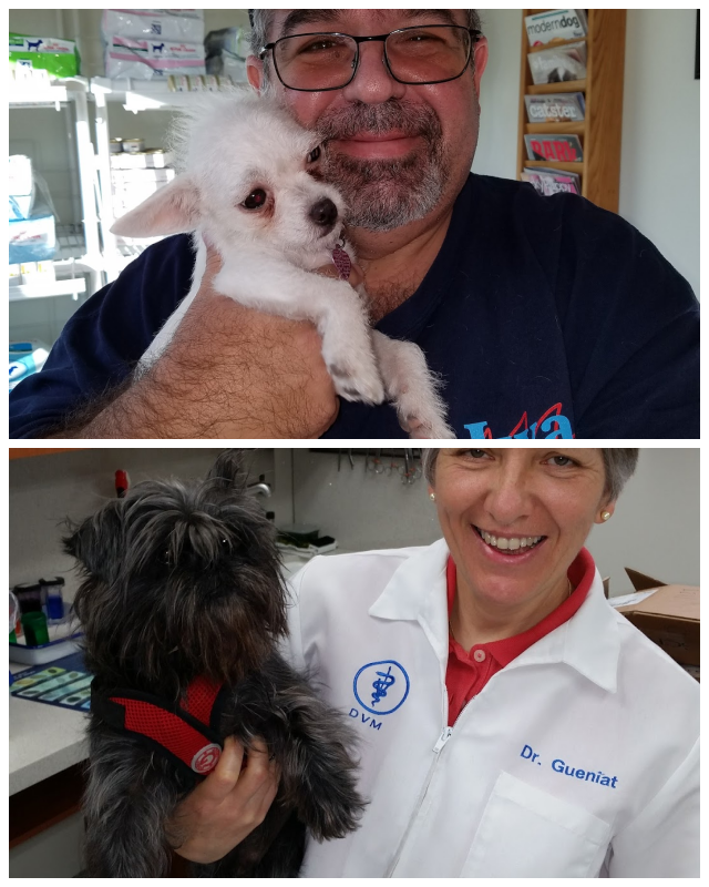 Review Monrovia Animal Medical Center image 80995