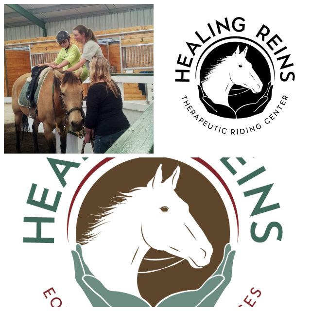 Review Healing reins therapeutic riding center inc image 295573