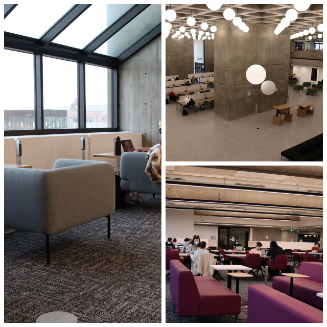 Review The D.B. Weldon Library image 180303