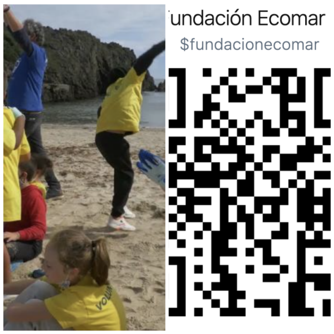 Review Fundación Ecomar image 15517