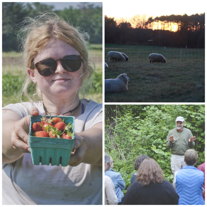 Review Massachusetts Audubon Society - Moose Hill Wildlife Sanctuary image 118275