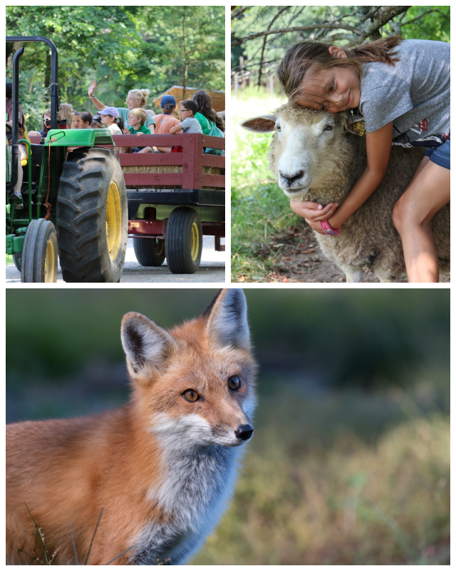 Review Massachusetts Audubon Society - Moose Hill Wildlife Sanctuary image 118276