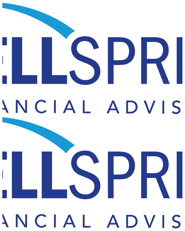 Review Wellspring advisors image 263534