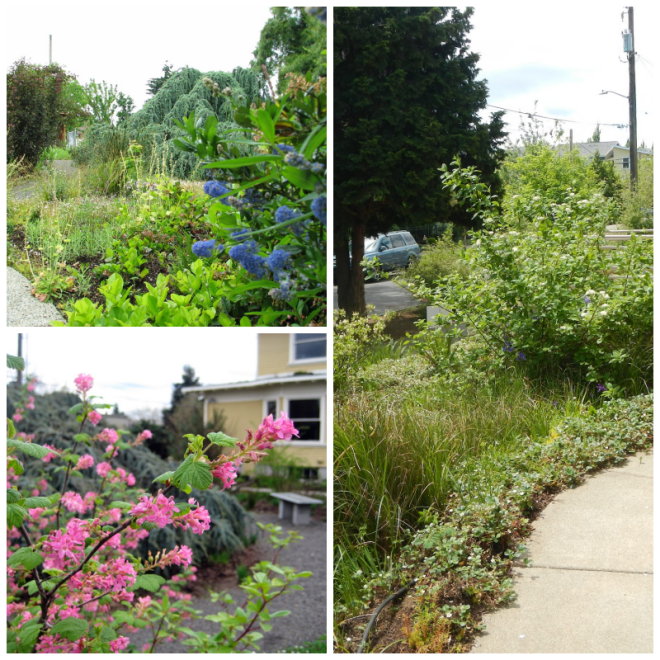 Review East multnomah soil and water conservation district image 280322