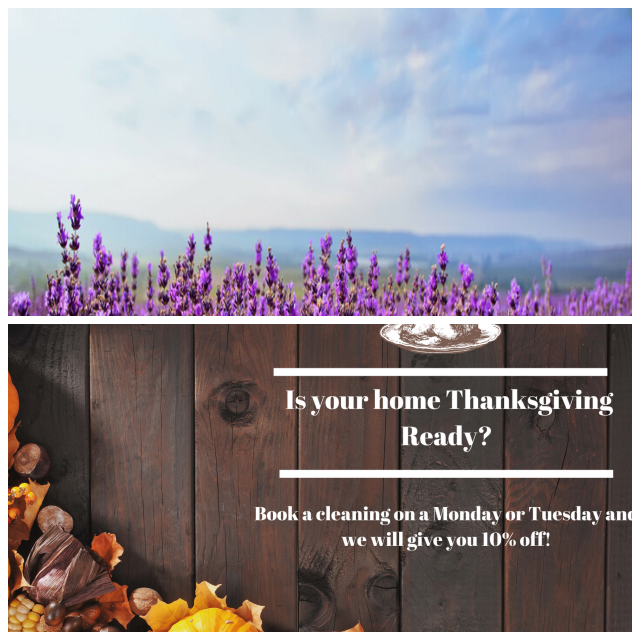Review Tranquil Home image 60810