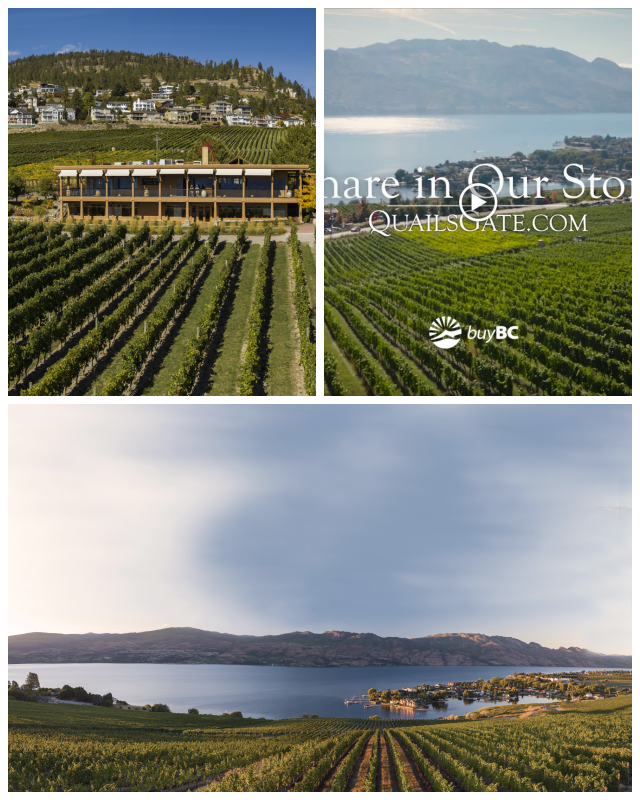Review Quails' Gate Winery image 141415