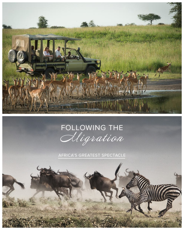 Review Go2Africa image 41279