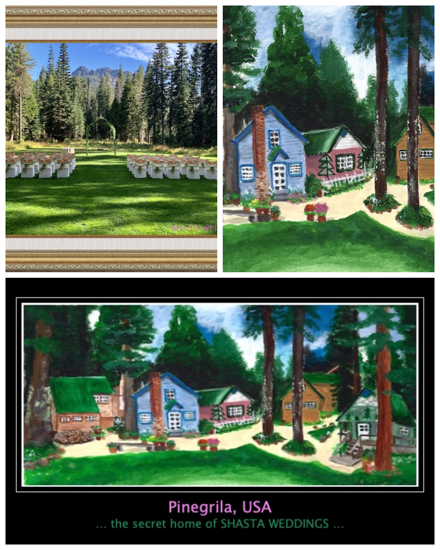 Review Shasta weddings image 353422