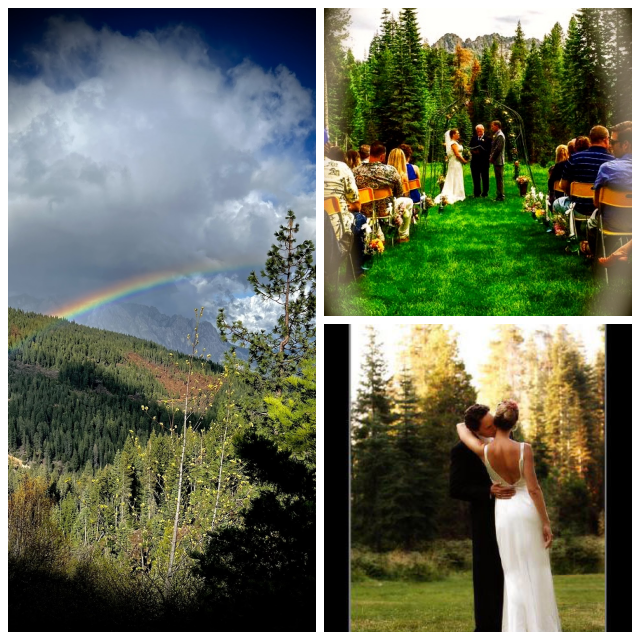 Review Shasta weddings image 353423