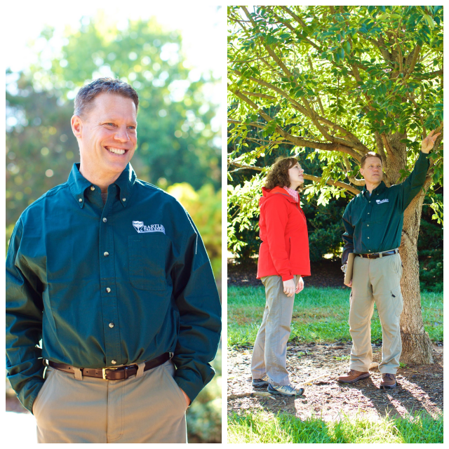 Review Haskell tree service inc image 295098
