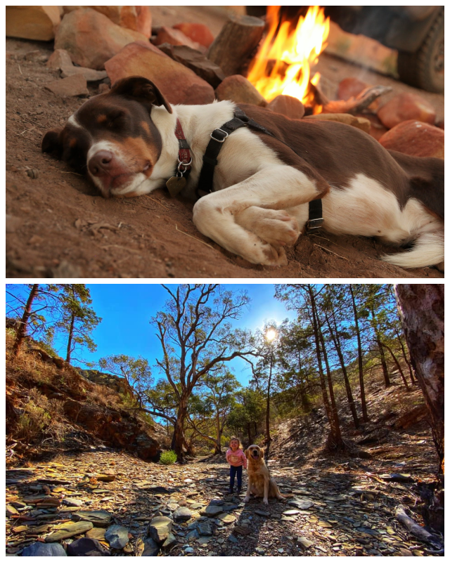 Review Bendleby Ranges image 61067